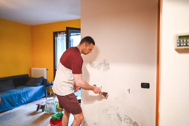 Best Residential Mold Remediation in Burns Harbor, IN